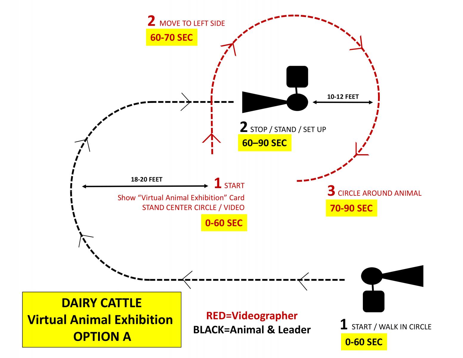 virtual 4-H dairy cattle pattern option a