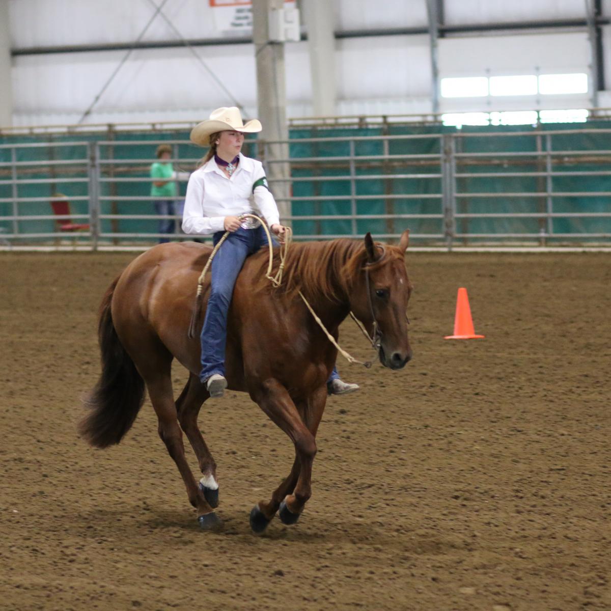 Fonner Park State 4-H Horse Expo Classes | Nebraska 4-H