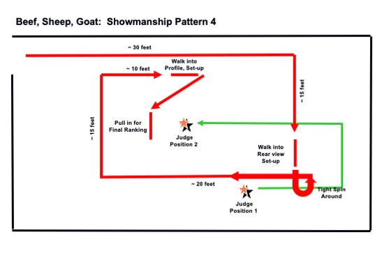 Beef, sheep, and goat showmanship pattern 4