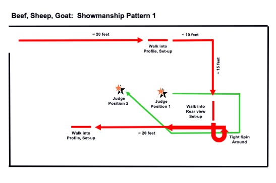 Beef, sheep, and goat showmanship pattern 1