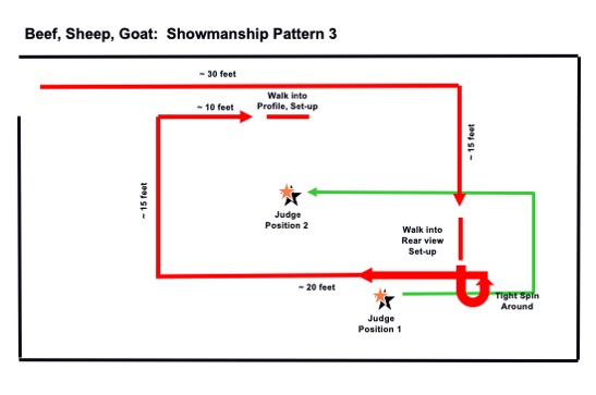 Beef, sheep, and goat showmanship pattern 3