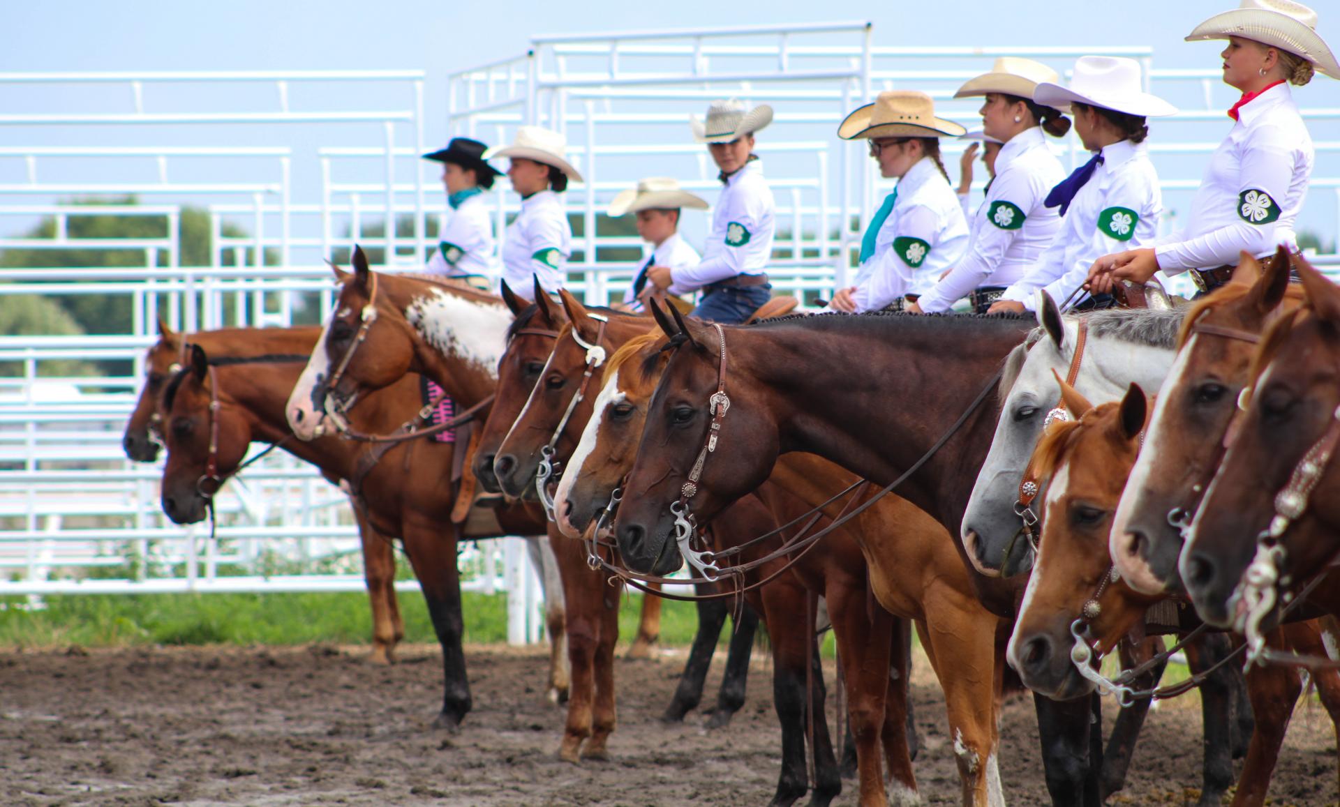 horse-program-nebraska-4-h