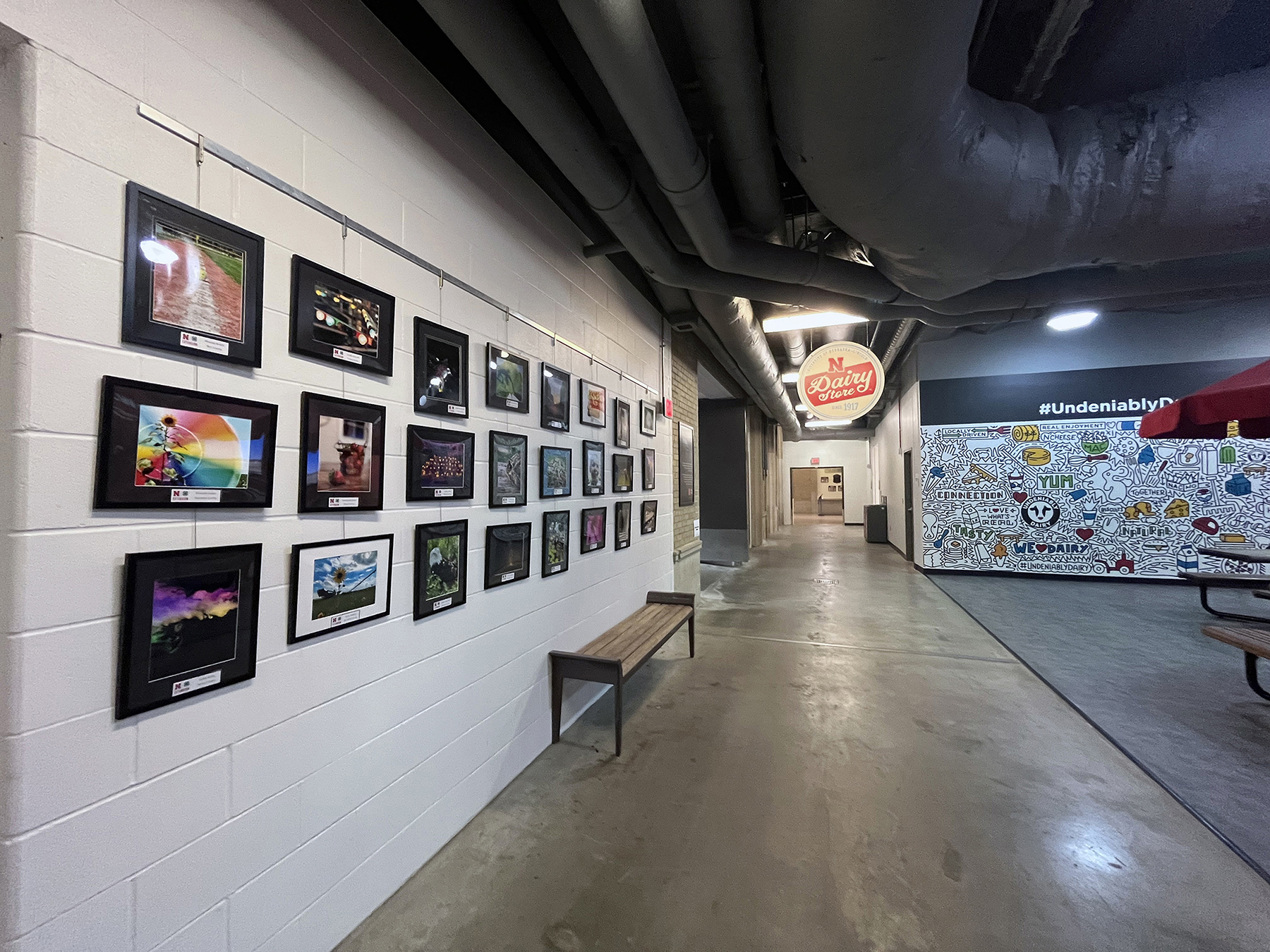 The Nebraska East Campus Visitors Center is featuring a new collection of photography captured by 4-H members from across the state.