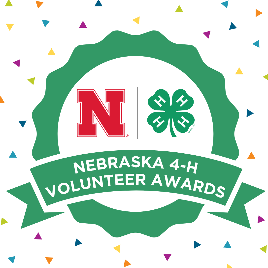4-H volunteers receive state-level awards