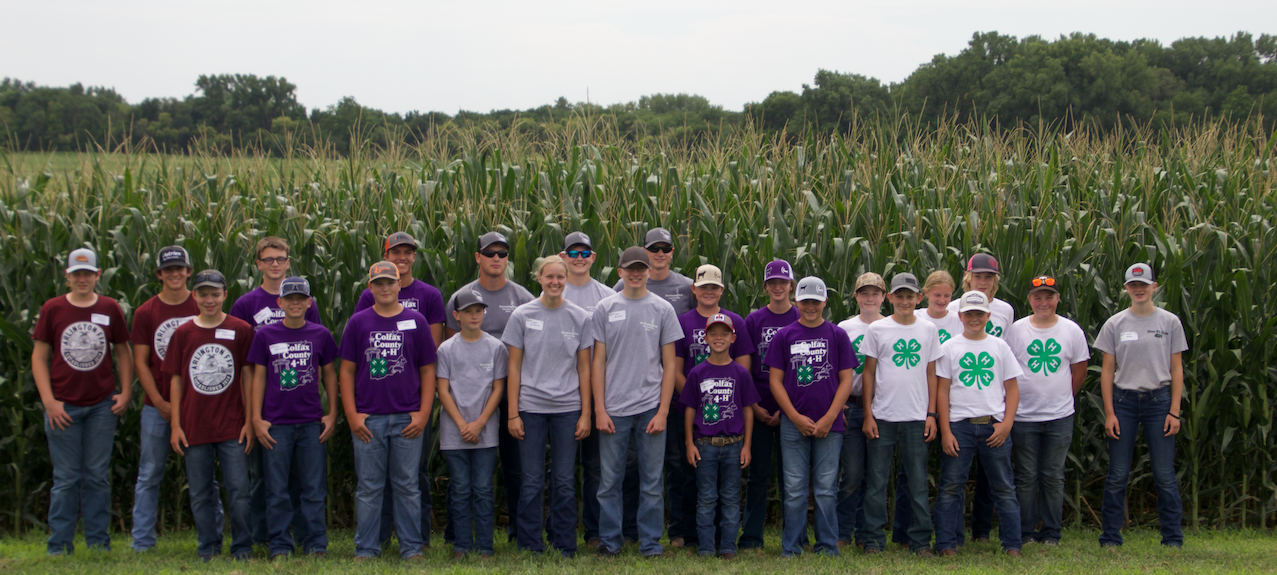 Nebraska youth test their agronomy knowledge at Crop Scouting Competition
