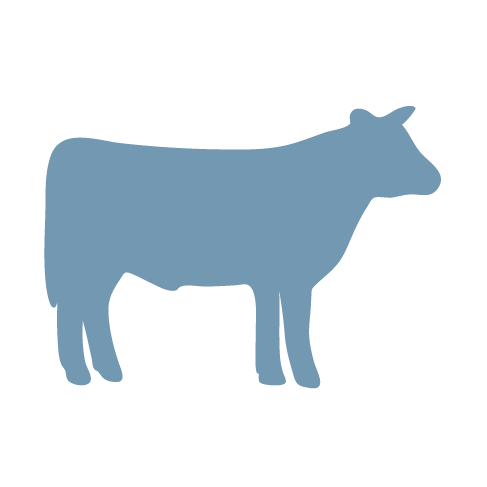 Livestock Program 