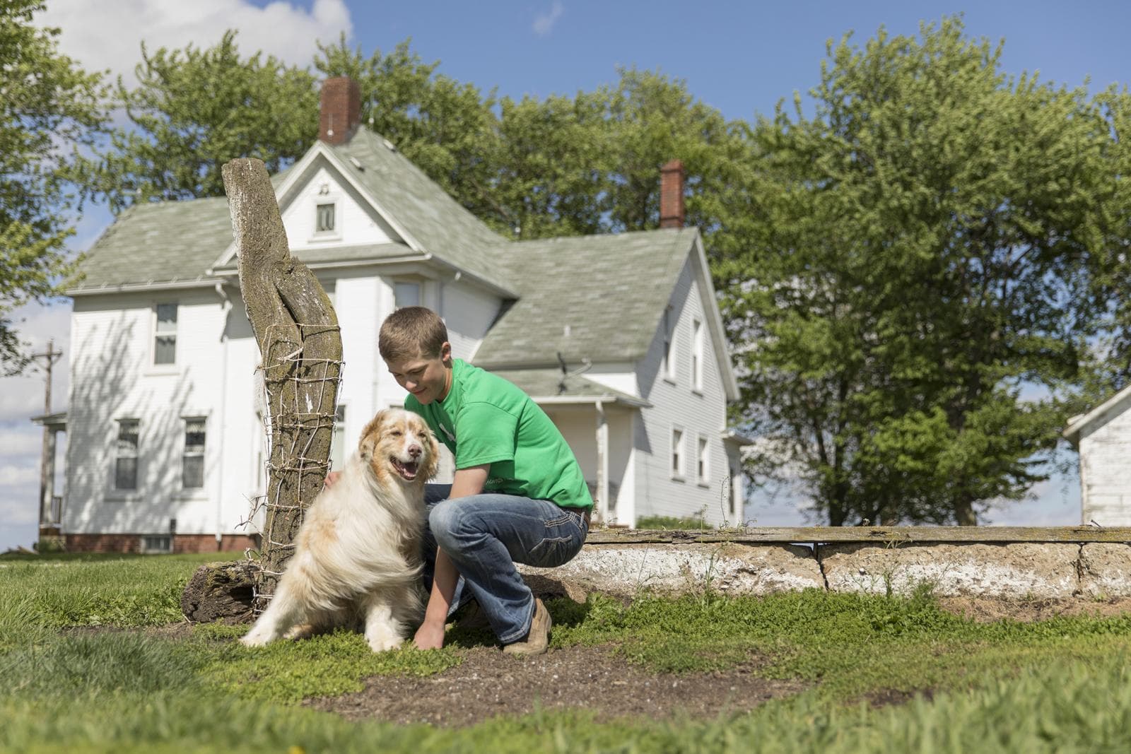 Youth working with a companion dog