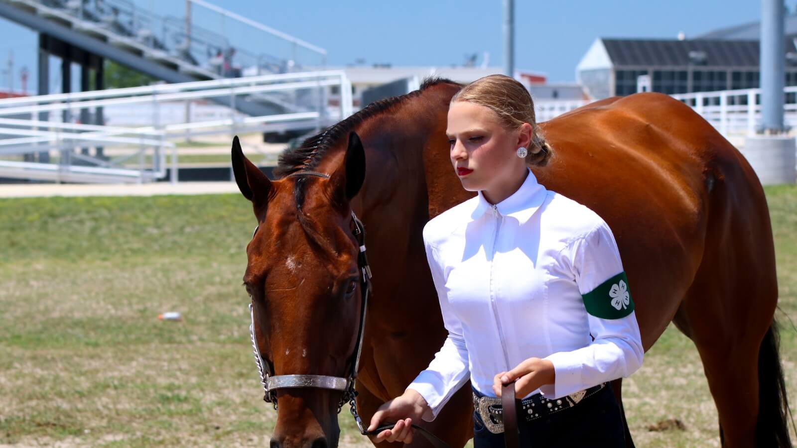4-H horse judging participant