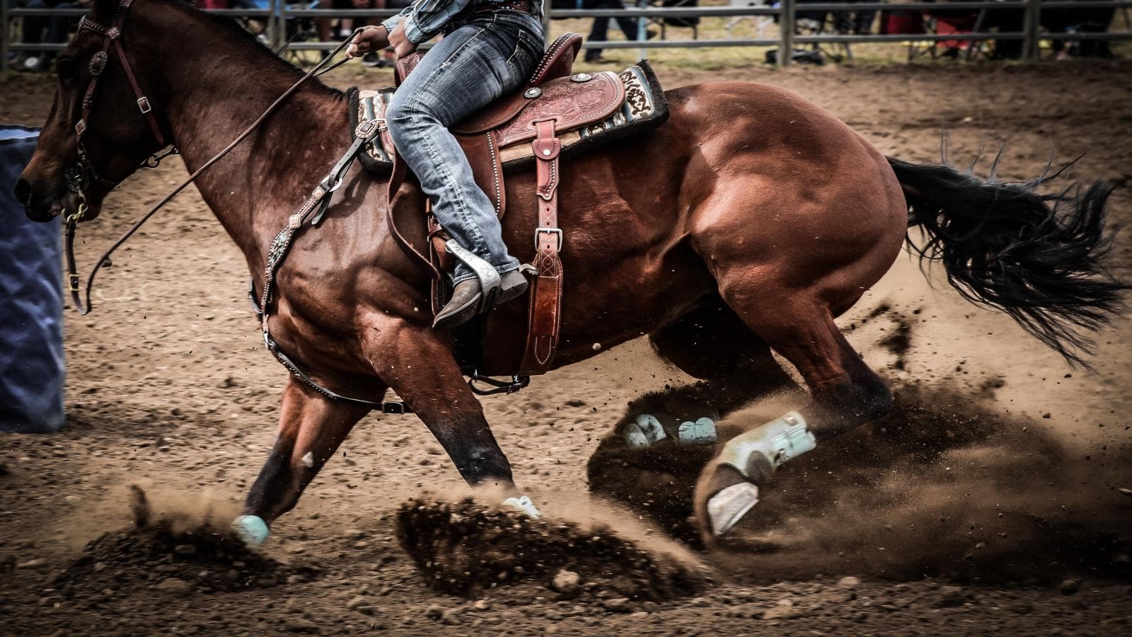 Youth competing in a horse rodeo