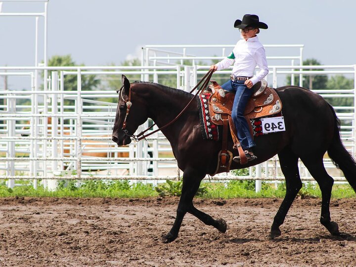 Youth showing a showing at a horse expo