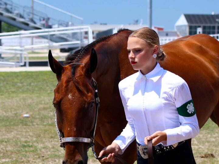 4-H horse judging participant