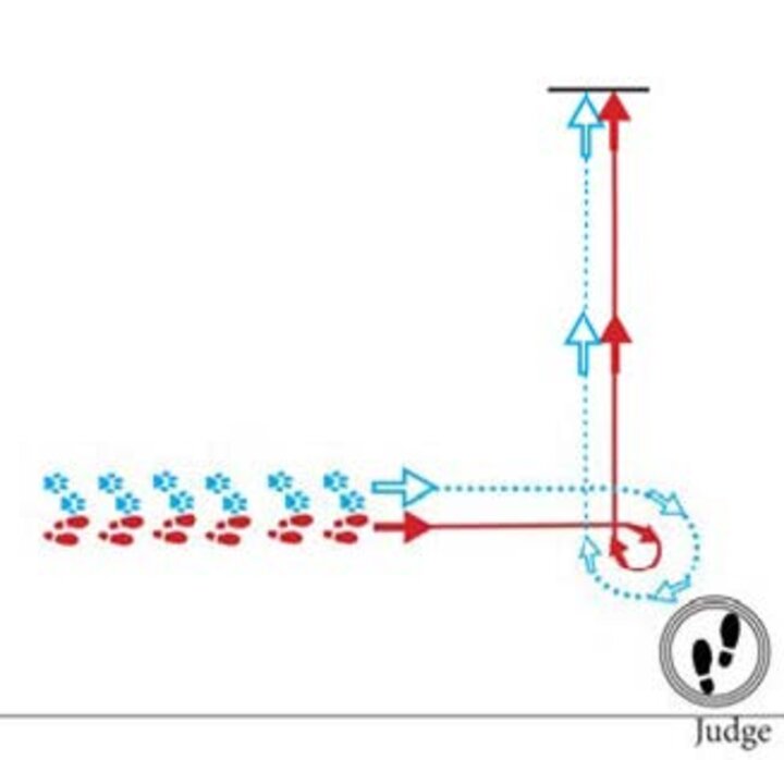 Graphic of a courtesy turn