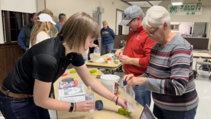 4-H Volunteering