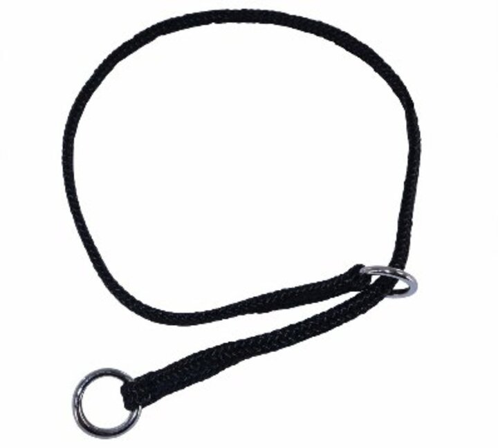 Example of Braided Nylon Slip Collar