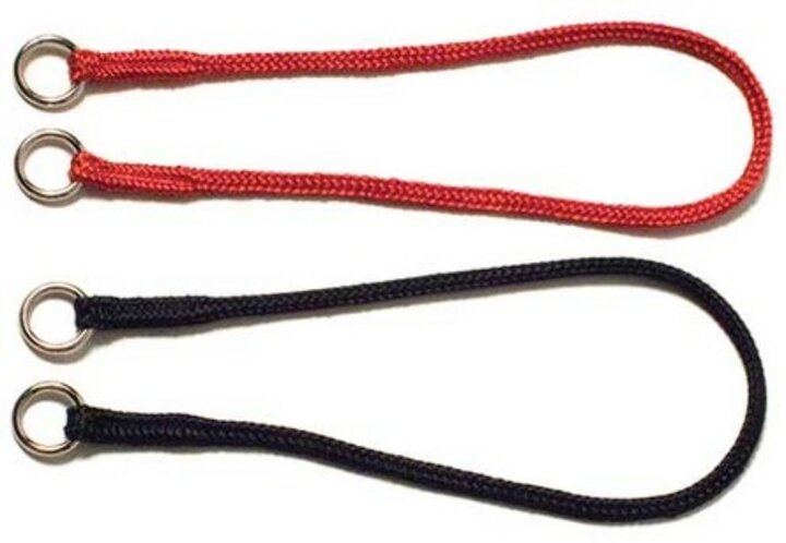 Example of Braided Nylon Slip Collar