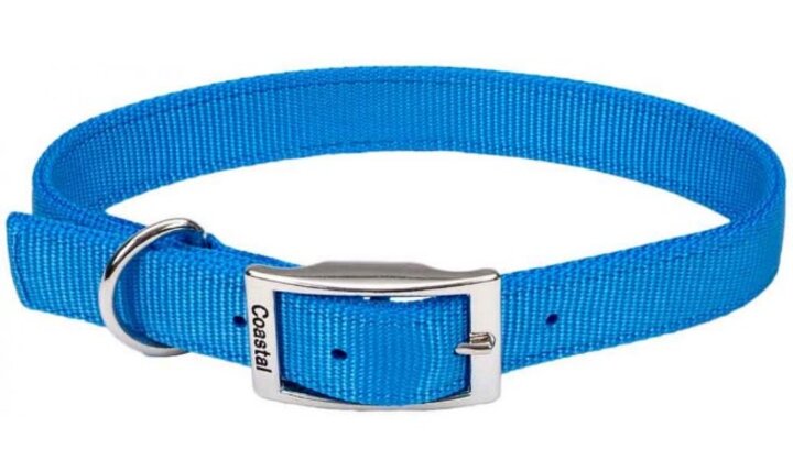 Example of Flat Nylon Collar with Buckle