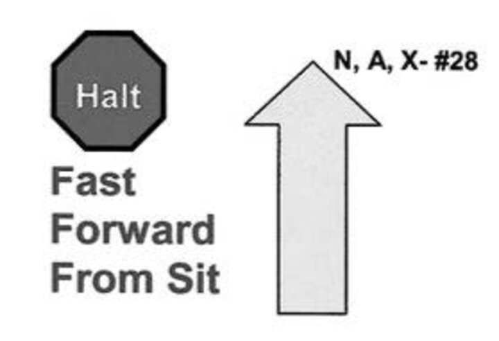 Graphic of the halt-fast forward from sit sign