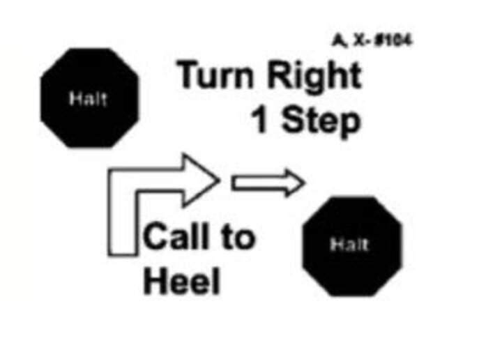 Graphic of the halt-turn right one step-call to heel-halt sign