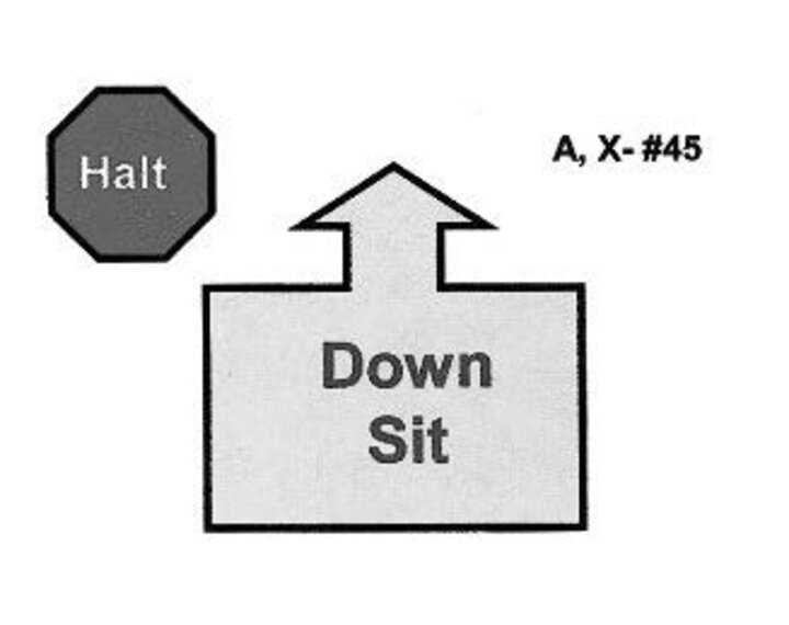 Graphic of the halt-down-sit sign
