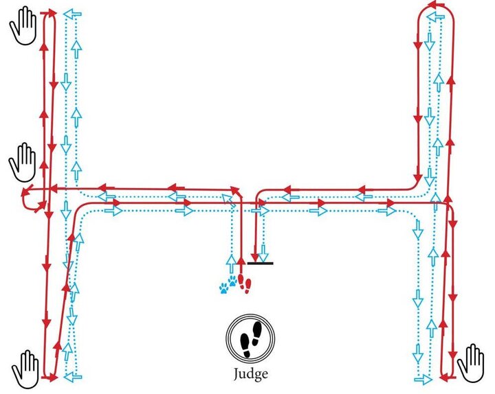 Graphic of an I Pattern