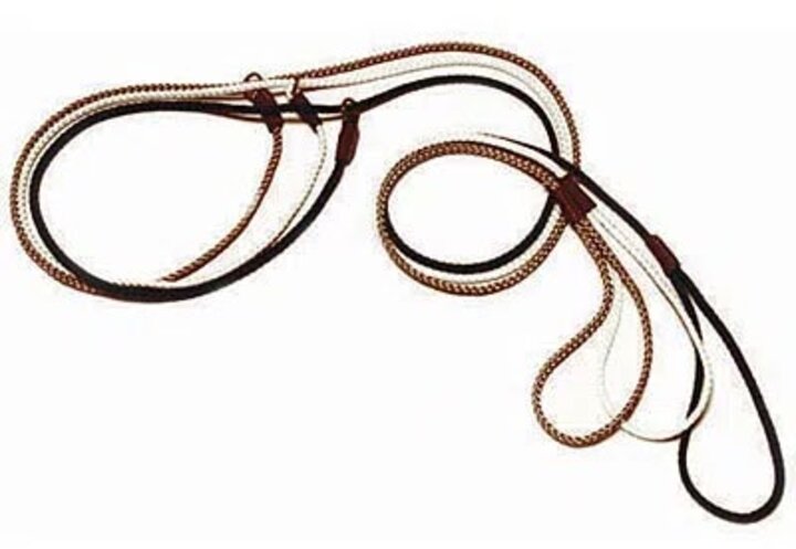 Example of Loop Lead