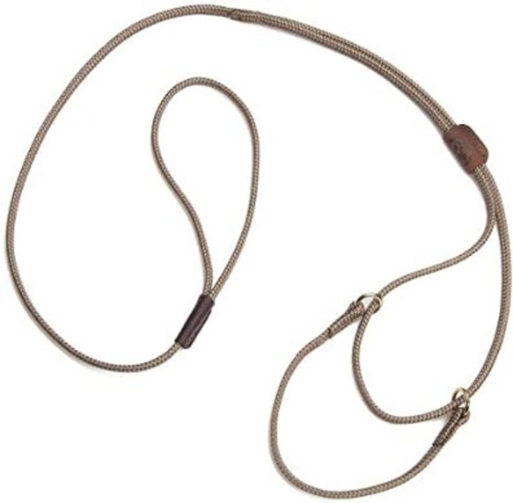 Example of Martingale