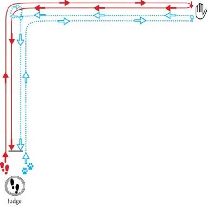 Graphic of a Reverse L Pattern with a circle