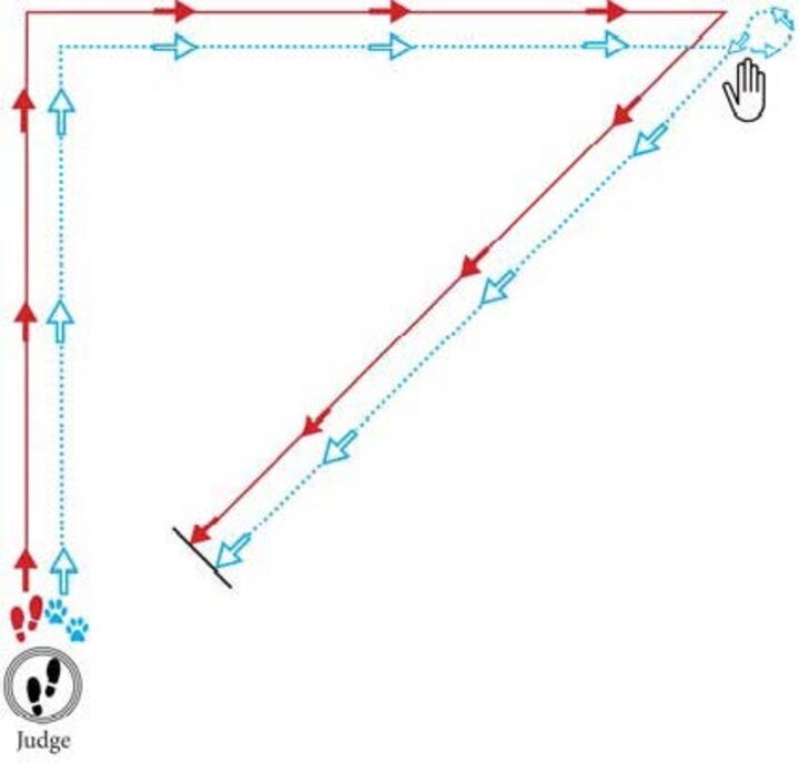 Graphic of a reverse triangle with a hand turn