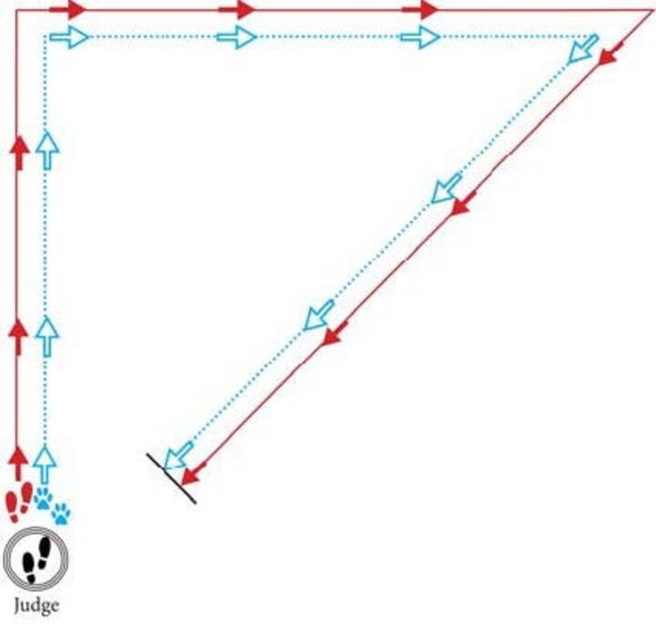 Graphic of a reverse triangle with a simple turn