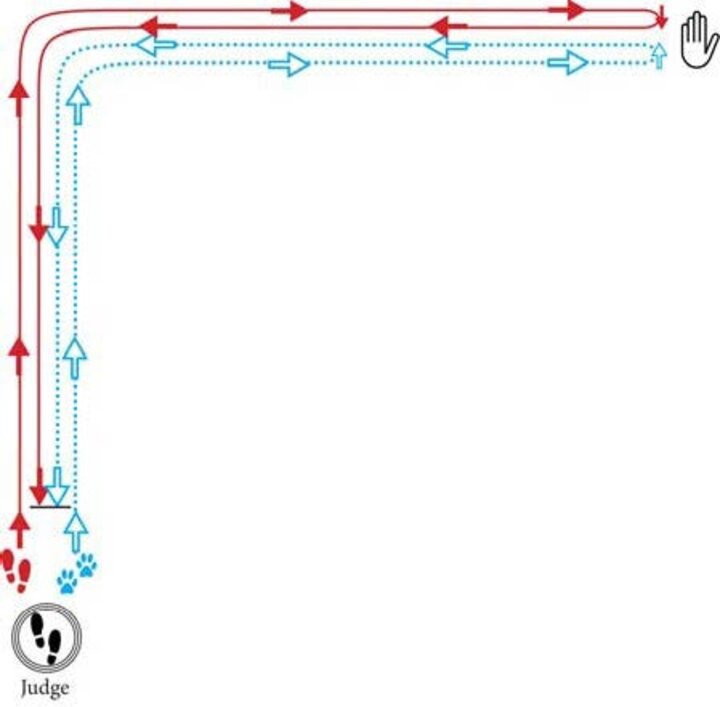 Graphic of a Reverse L Pattern with a simple turn