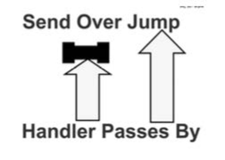 Graphic of the send over jump-handler passes by sign