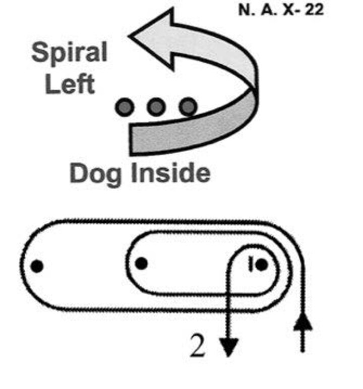 Graphic of the spiral left-dog inside
