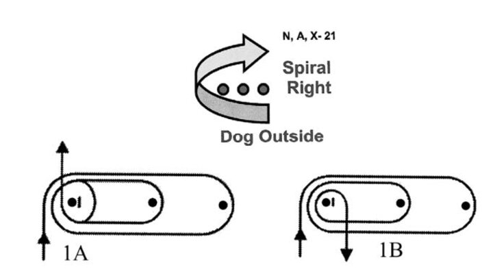Graphic of the spiral right-dog outside sign