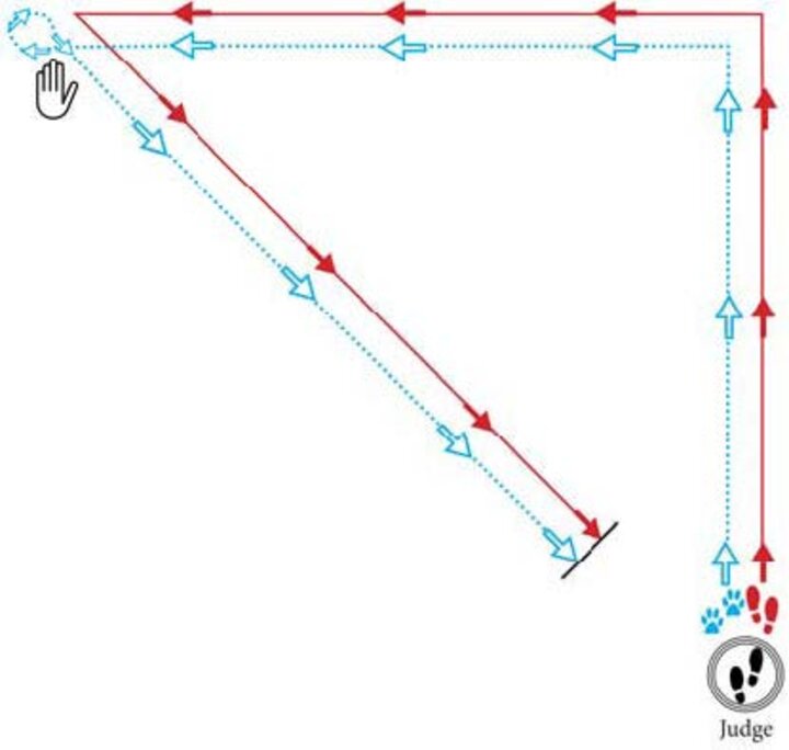 Graphic of a triangle with a hand switch