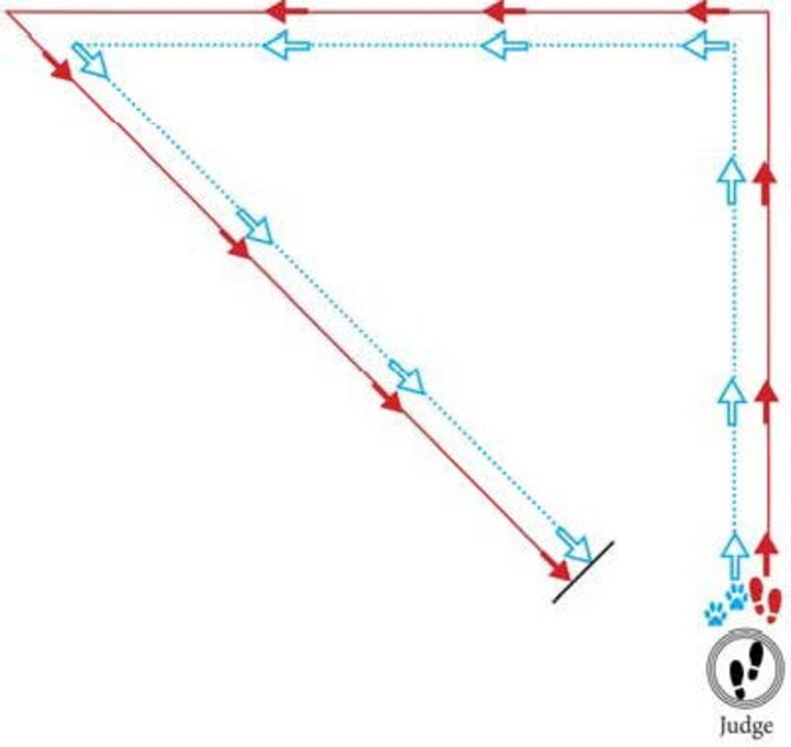 Graphic of a triangle with a simple turn