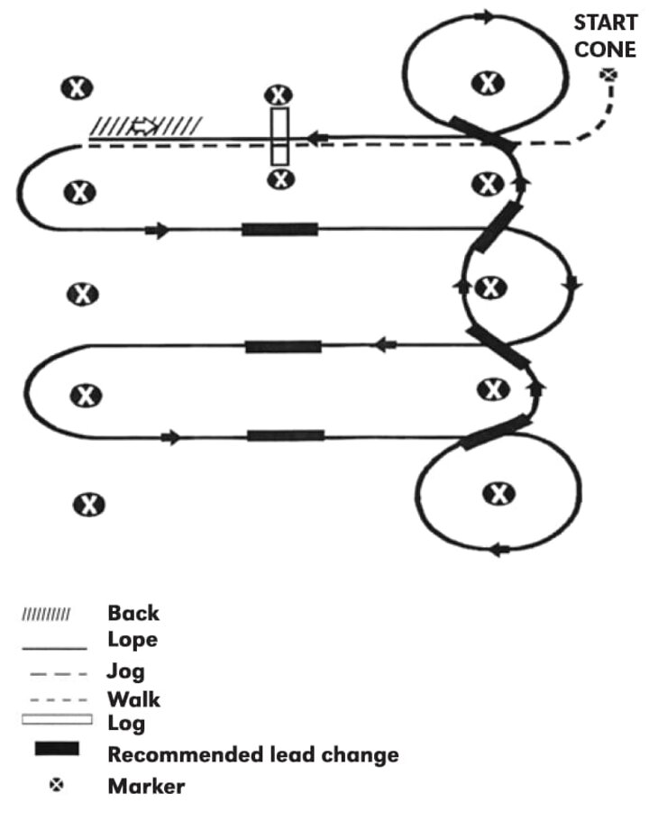 AQHA Western Riding Pattern 2 Horse Guide