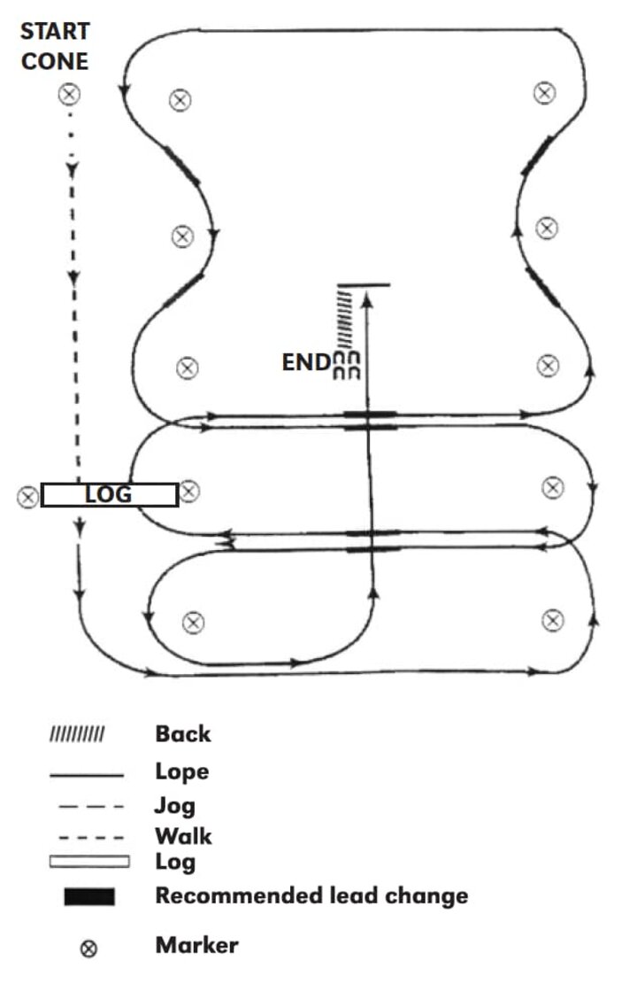 AQHA Western Riding Pattern 3 Horse Guide