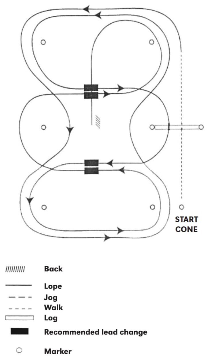 AQHA Western Riding Pattern 5 Horse Guide