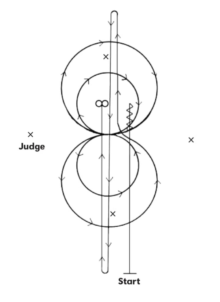 Reining Pattern2 Horse Guide