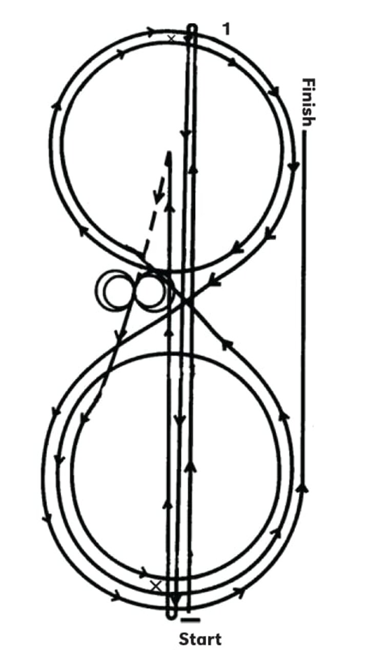 Reining Pattern 4 Horse Guide