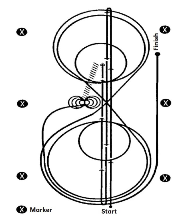 Reining NRHA Pattern Horse Guide