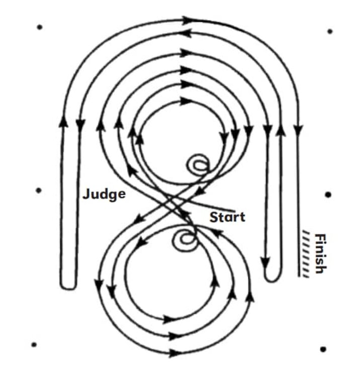 reining NRHA 11 Pattern Horse Guide