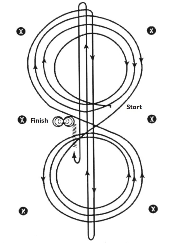 reining NRHA 2 Pattern Horse Guide