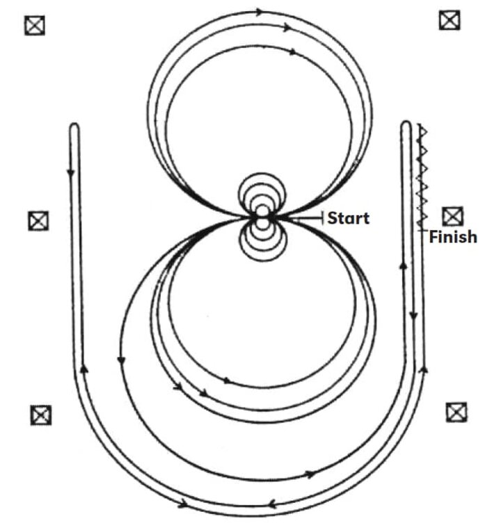 reining NRHA 6 Pattern Horse Guide