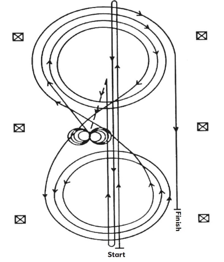 reining NRHA 7 Pattern Horse Guide