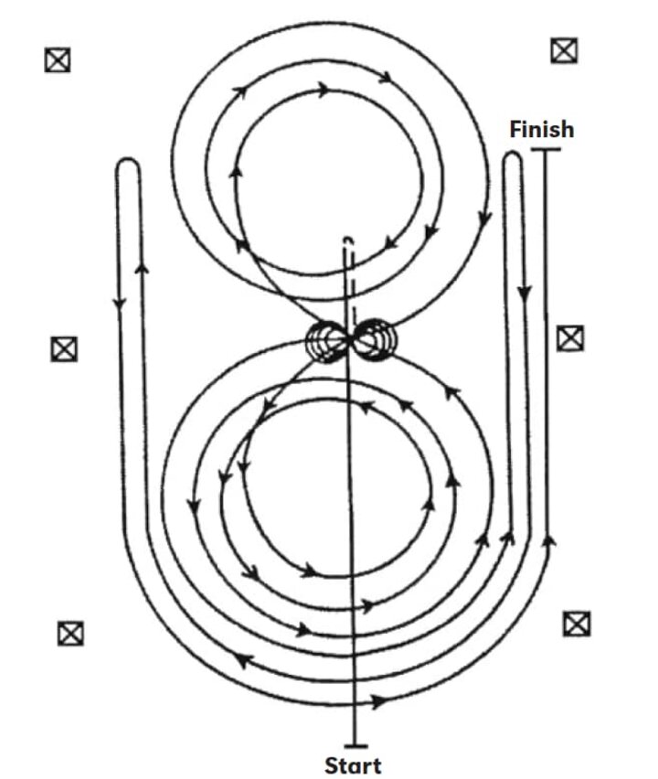 reining NRHA 9 Pattern Horse Guide