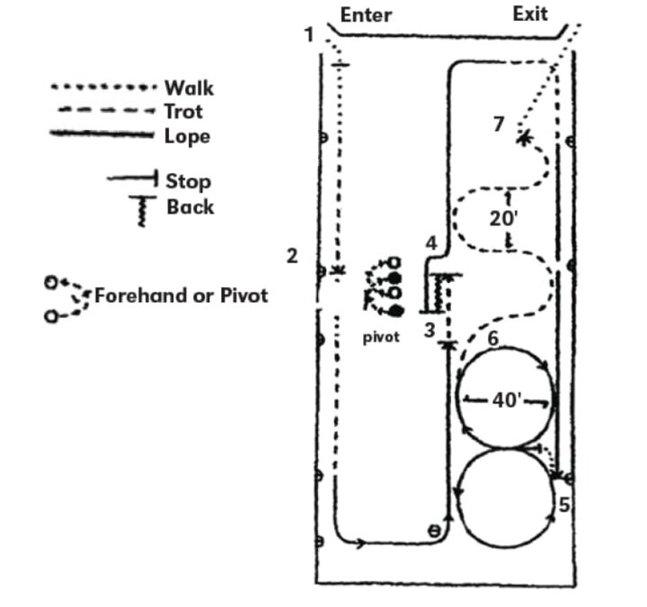 Advanced Western Horsemanship Pattern Horse Guide