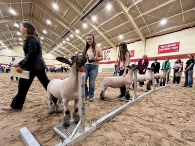 Nebraska 4-H members earn entry into national animal science contests