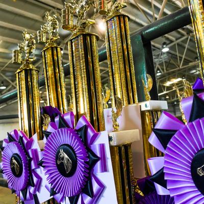 purple rosettes with gold horse figures in the center pinned to tall gold trophies