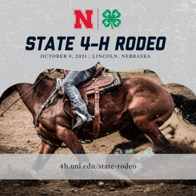 State 4-H Rodeo graphic